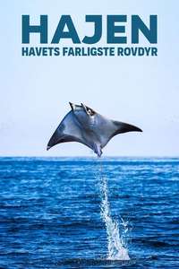 Shark - Posters