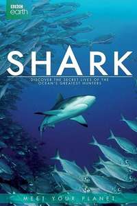 Shark - Posters