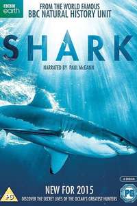 Shark - Posters