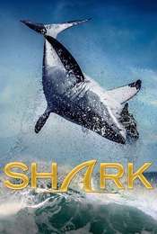 Shark