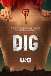 Dig