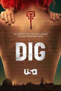 Dig - Poster