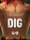 Dig