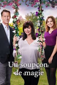 Good Witch - Posters