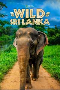 Wild Sri Lanka - Poster
