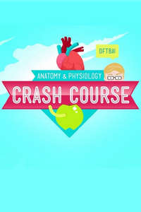 Crash Course Anatomy & Physiology - Poster