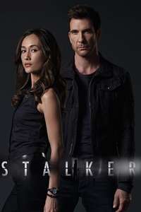 Stalker - Posters