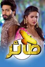 Udaan