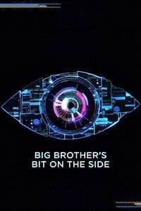 Celebrity Big Brother's Bit on the Side - Poster