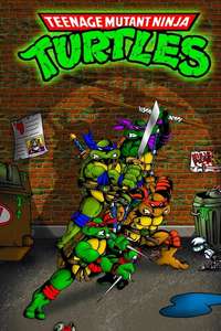 Teenage Mutant Ninja Turtles - Posters