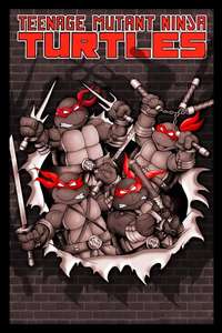 Teenage Mutant Ninja Turtles - Posters