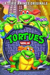 Teenage Mutant Ninja Turtles - Posters