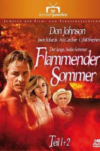 The Long Hot Summer - Posters