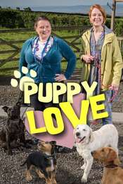 Puppy Love