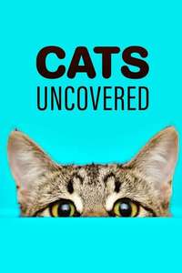 Cat Watch 2014: The New Horizon Experiment - Poster