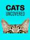 Cat Watch 2014: The New Horizon Experiment