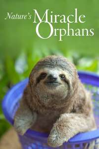 Nature's Miracle Orphans - Poster