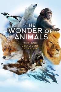 The Wonder of Animals - Posters