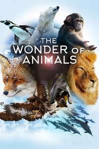 The Wonder of Animals - Posters