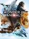 The Wonder of Animals