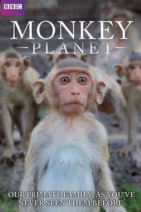 Monkey Planet - Poster