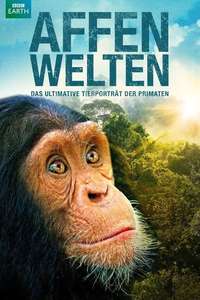 Monkey Planet - Poster
