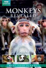 Monkey Planet