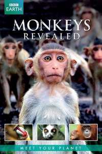 Monkey Planet - Poster