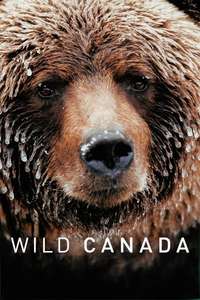 Wild Canada - Poster