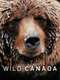 Wild Canada