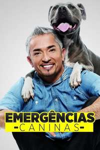 Cesar 911 - Poster