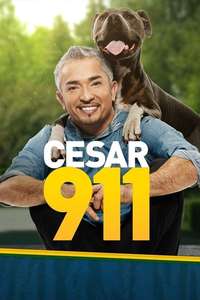 Cesar 911 - Poster