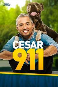 Cesar 911 - Poster