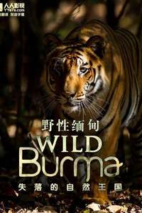 Wild Burma: Nature's Lost Kingdom - Poster