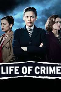 Life of Crime - Poster
