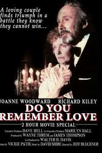 Do You Remember Love - Poster