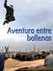 Whale Adventure with Nigel Marven