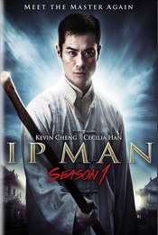 Ip Man (TV series) 