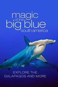 The Magic of the Big Blue - Posters
