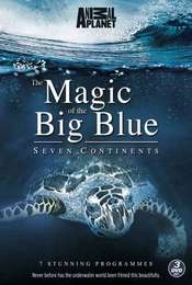 The Magic of the Big Blue Season 1