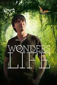 Wonders of Life - Poster