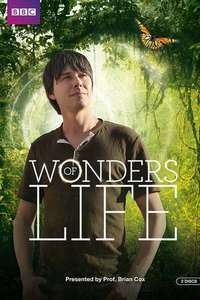 Wonders of Life - Poster
