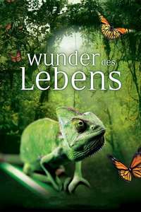Wonders of Life - Poster