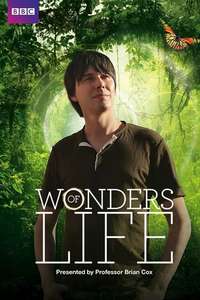 Wonders of Life - Poster