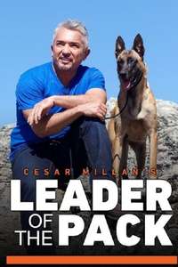 Cesar Millan's Leader of the Pack - Poster