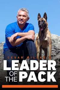 Cesar Millan's Leader of the Pack - Poster
