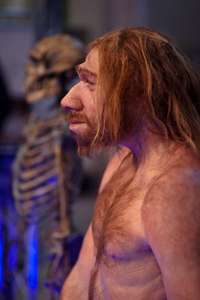 Prehistoric Autopsy - Poster