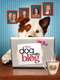 Dog With a Blog