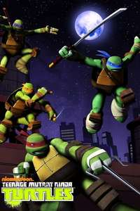 Teenage Mutant Ninja Turtles - Posters