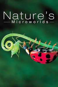 Nature's Microworlds - Poster